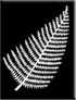 Fern leaf awarded to the Regiment in recognition of the support provided to the New Zealanders at El Alamein.