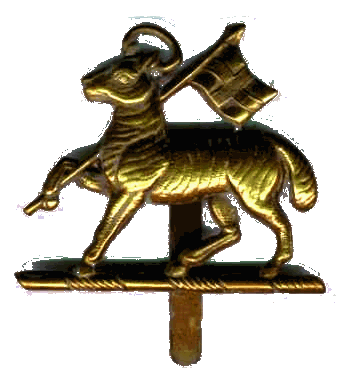 Queen's Royal Regiment Cap Badge